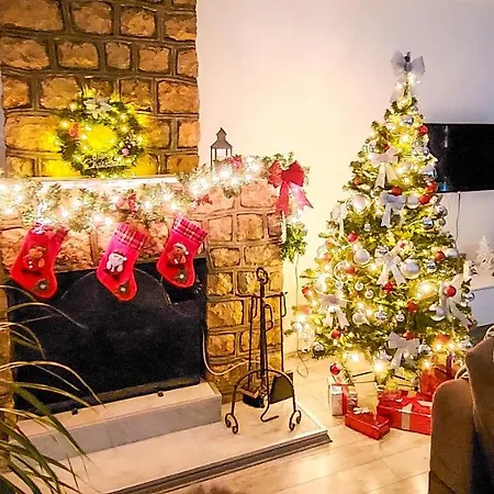 Fenix Apartment Vinci